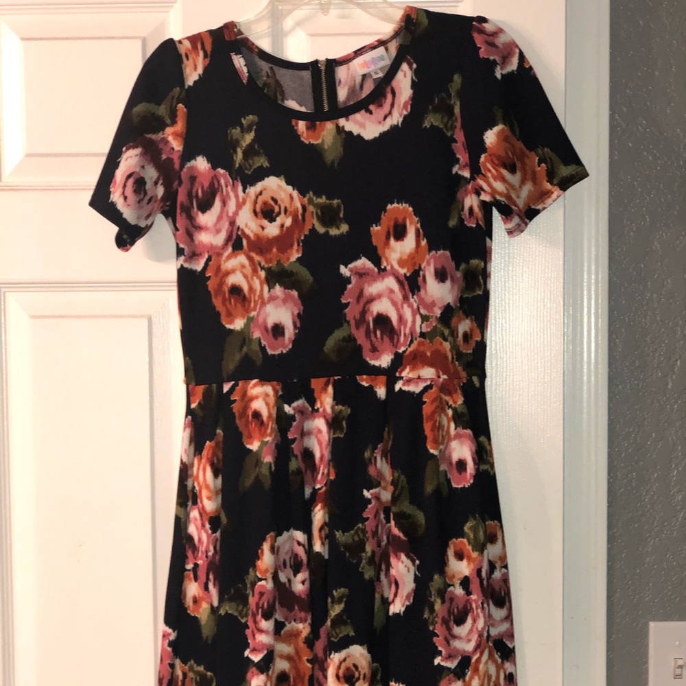 LuLaRoe Amelia (S) Dress - pleats and pockets!!